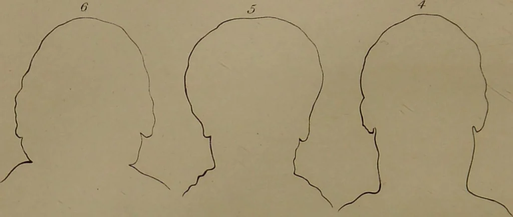 An illustration from Essays on physiognomy : designed to promote the knowledge and the love of mankind ... To which are added , one hundred physiognomonical rules, ... and memoirs of the life of the author / written by John Caspar Lavater., 1797, leaf 484