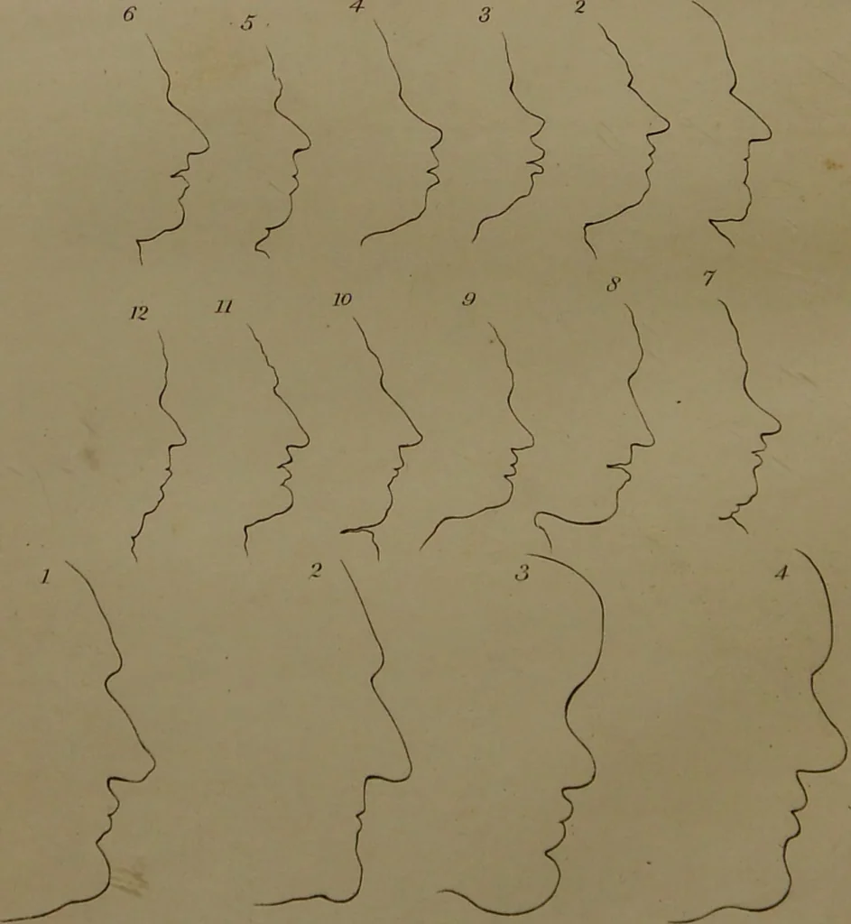An illustration from Essays on physiognomy : designed to promote the knowledge and the love of mankind ... To which are added , one hundred physiognomonical rules, ... and memoirs of the life of the author / written by John Caspar Lavater., 1797, leaf 484