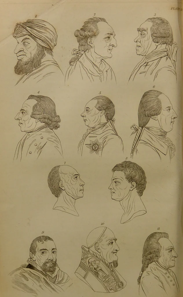 An illustration from Essays on physiognomy : designed to promote the knowledge and the love of mankind ... To which are added , one hundred physiognomonical rules, ... and memoirs of the life of the author / written by John Caspar Lavater., 1797, leaf 508