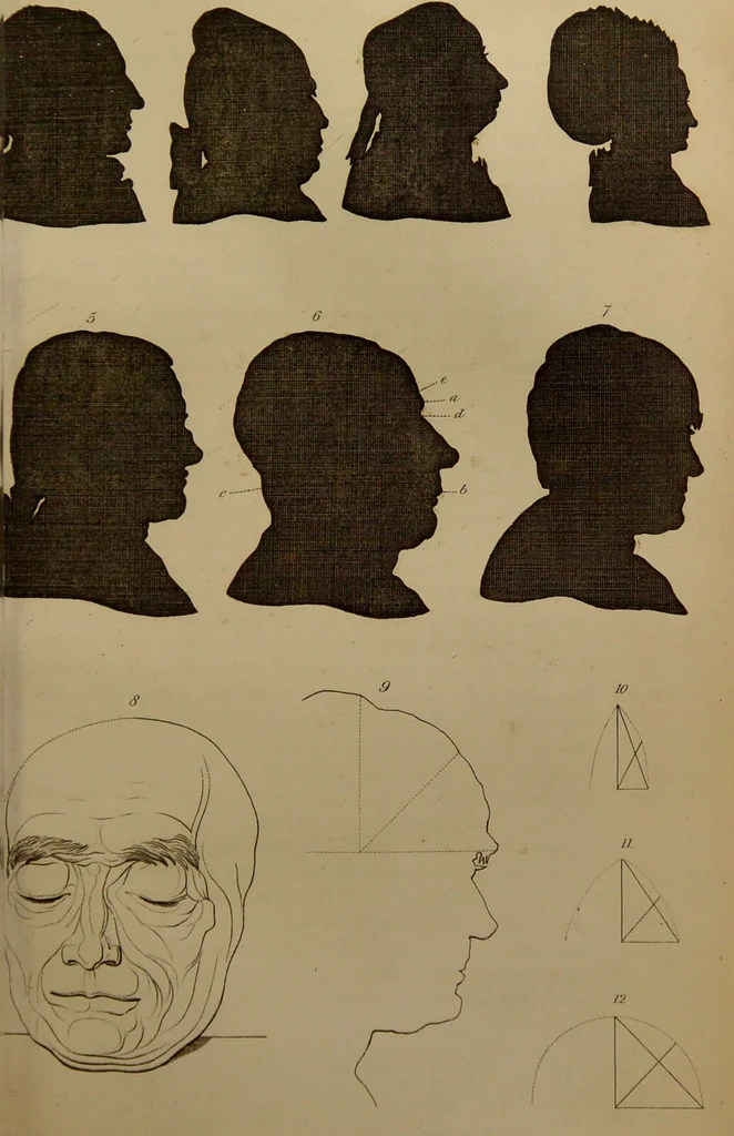An illustration from Essays on physiognomy : designed to promote the knowledge and the love of mankind ... To which are added , one hundred physiognomonical rules, ... and memoirs of the life of the author / written by John Caspar Lavater., 1797, leaf 513