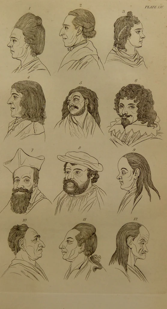 An illustration from Essays on physiognomy : designed to promote the knowledge and the love of mankind ... To which are added , one hundred physiognomonical rules, ... and memoirs of the life of the author / written by John Caspar Lavater., 1797, leaf 659