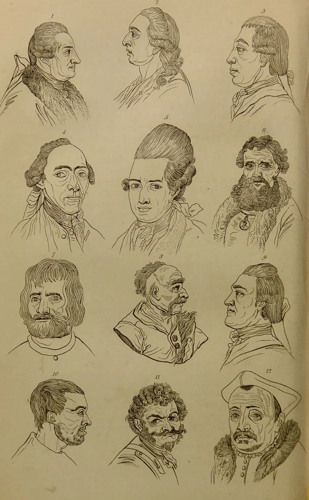 An illustration from Essays on physiognomy : designed to promote the knowledge and the love of mankind ... To which are added , one hundred physiognomonical rules, ... and memoirs of the life of the author / written by John Caspar Lavater., 1797, leaf 664