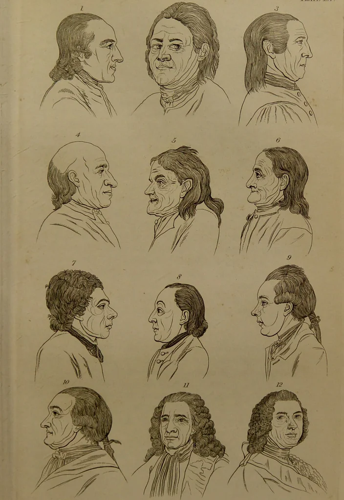 An illustration from Essays on physiognomy : designed to promote the knowledge and the love of mankind ... To which are added , one hundred physiognomonical rules, ... and memoirs of the life of the author / written by John Caspar Lavater., 1797, leaf 669