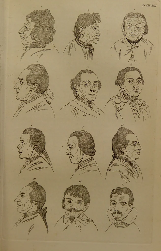 An illustration from Essays on physiognomy : designed to promote the knowledge and the love of mankind ... To which are added , one hundred physiognomonical rules, ... and memoirs of the life of the author / written by John Caspar Lavater., 1797, leaf 673