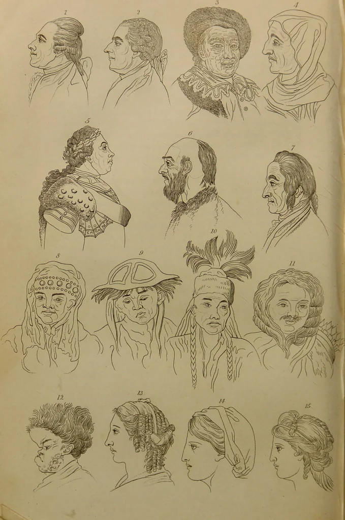 An illustration from Essays on physiognomy : designed to promote the knowledge and the love of mankind ... To which are added , one hundred physiognomonical rules, ... and memoirs of the life of the author / written by John Caspar Lavater., 1797, leaf 678