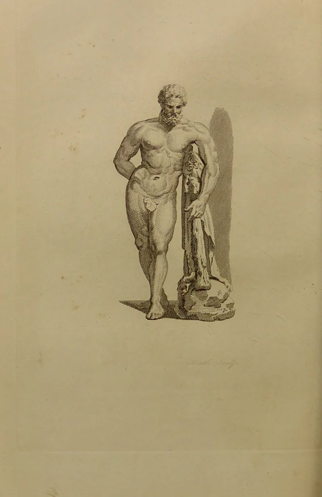 An illustration from Essays on physiognomy : designed to promote the knowledge and the love of mankind ... To which are added , one hundred physiognomonical rules, ... and memoirs of the life of the author / written by John Caspar Lavater., 1797, leaf 688