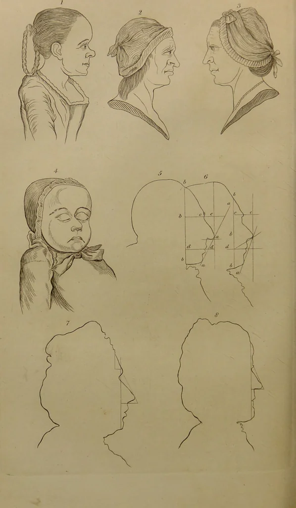 An illustration from Essays on physiognomy : designed to promote the knowledge and the love of mankind ... To which are added , one hundred physiognomonical rules, ... and memoirs of the life of the author / written by John Caspar Lavater., 1797, leaf 696