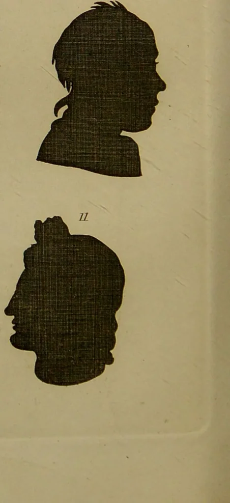 An illustration from Essays on physiognomy : designed to promote the knowledge and the love of mankind ... To which are added , one hundred physiognomonical rules, ... and memoirs of the life of the author / written by John Caspar Lavater., 1797, leaf 700
