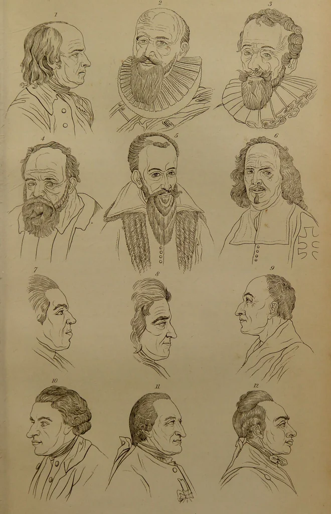 An illustration from Essays on physiognomy : designed to promote the knowledge and the love of mankind ... To which are added , one hundred physiognomonical rules, ... and memoirs of the life of the author / written by John Caspar Lavater., 1797, leaf 705