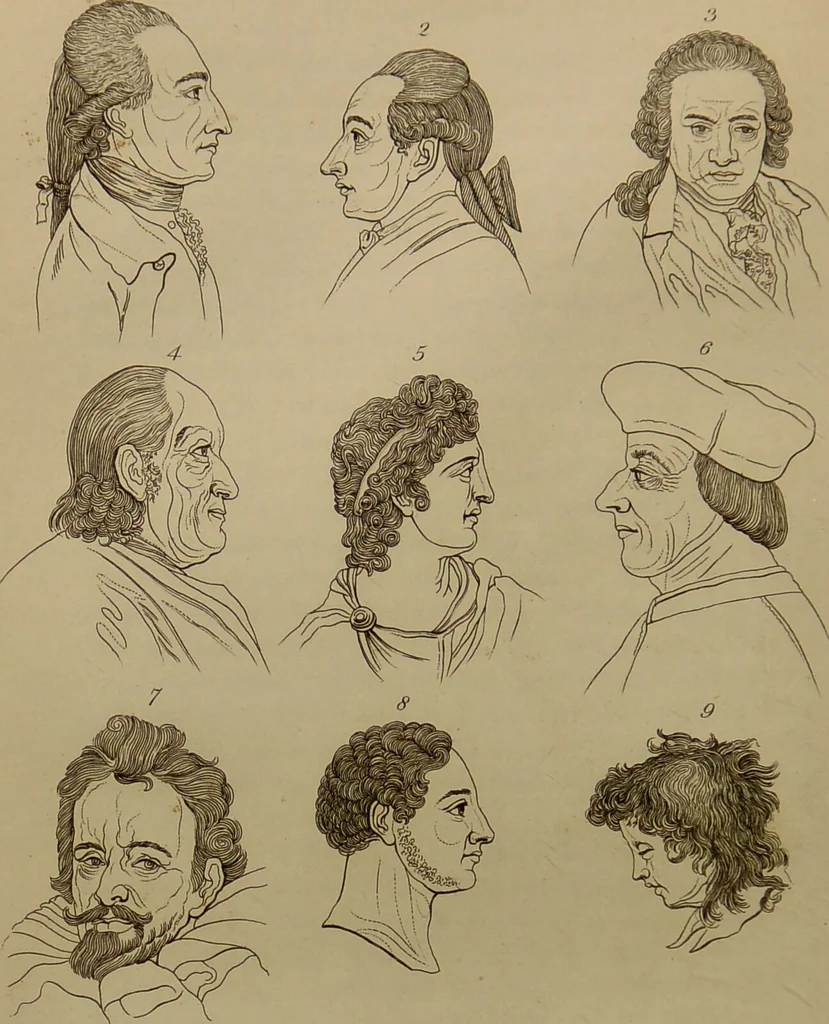 An illustration from Essays on physiognomy : designed to promote the knowledge and the love of mankind ... To which are added , one hundred physiognomonical rules, ... and memoirs of the life of the author / written by John Caspar Lavater., 1797, leaf 710