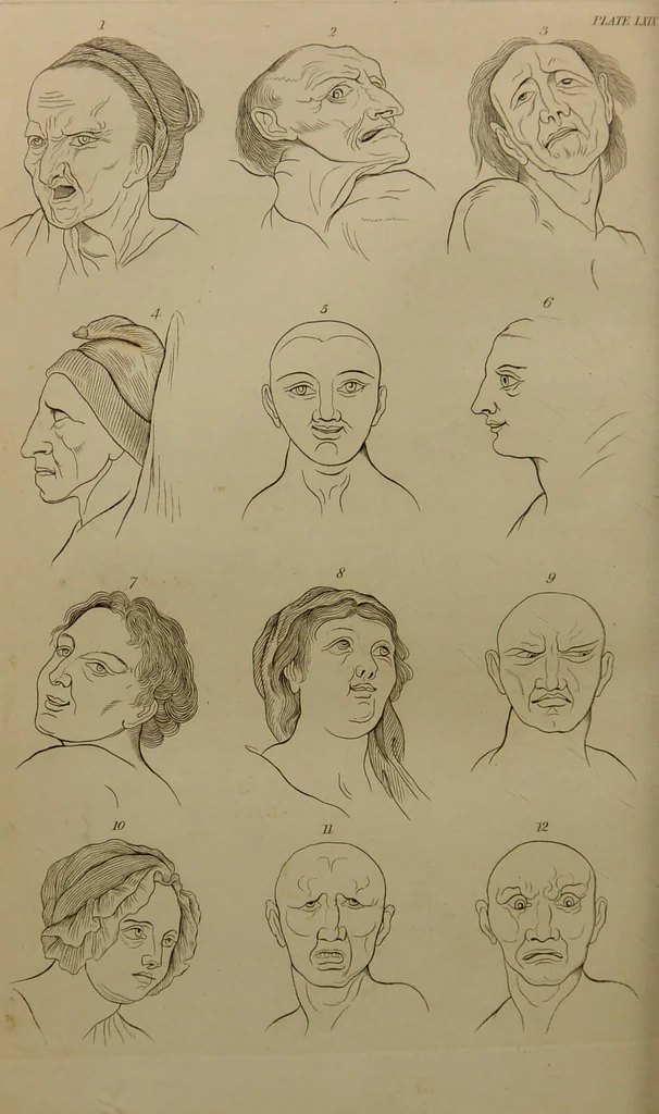 An illustration from Essays on physiognomy : designed to promote the knowledge and the love of mankind ... To which are added , one hundred physiognomonical rules, ... and memoirs of the life of the author / written by John Caspar Lavater., 1797, leaf 716