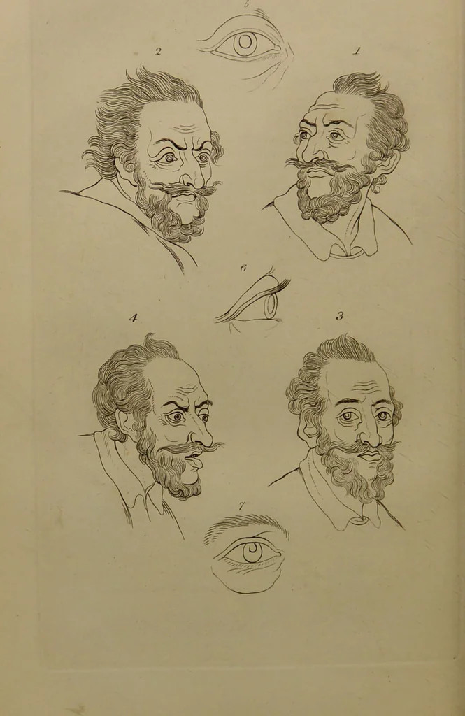 An illustration from Essays on physiognomy : designed to promote the knowledge and the love of mankind ... To which are added , one hundred physiognomonical rules, ... and memoirs of the life of the author / written by John Caspar Lavater., 1797, leaf 724
