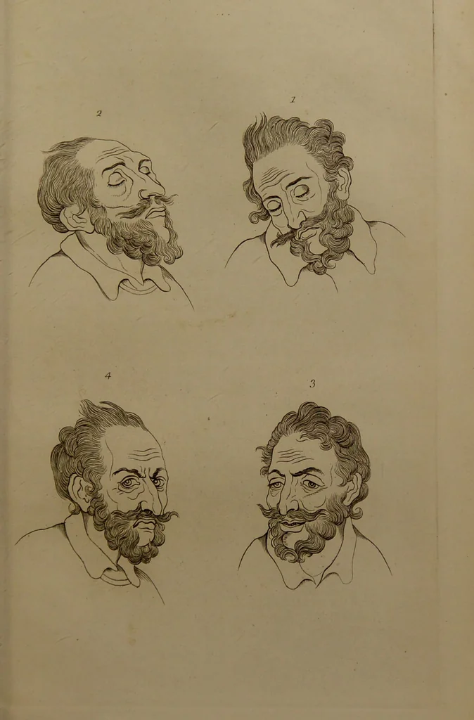 An illustration from Essays on physiognomy : designed to promote the knowledge and the love of mankind ... To which are added , one hundred physiognomonical rules, ... and memoirs of the life of the author / written by John Caspar Lavater., 1797, leaf 743