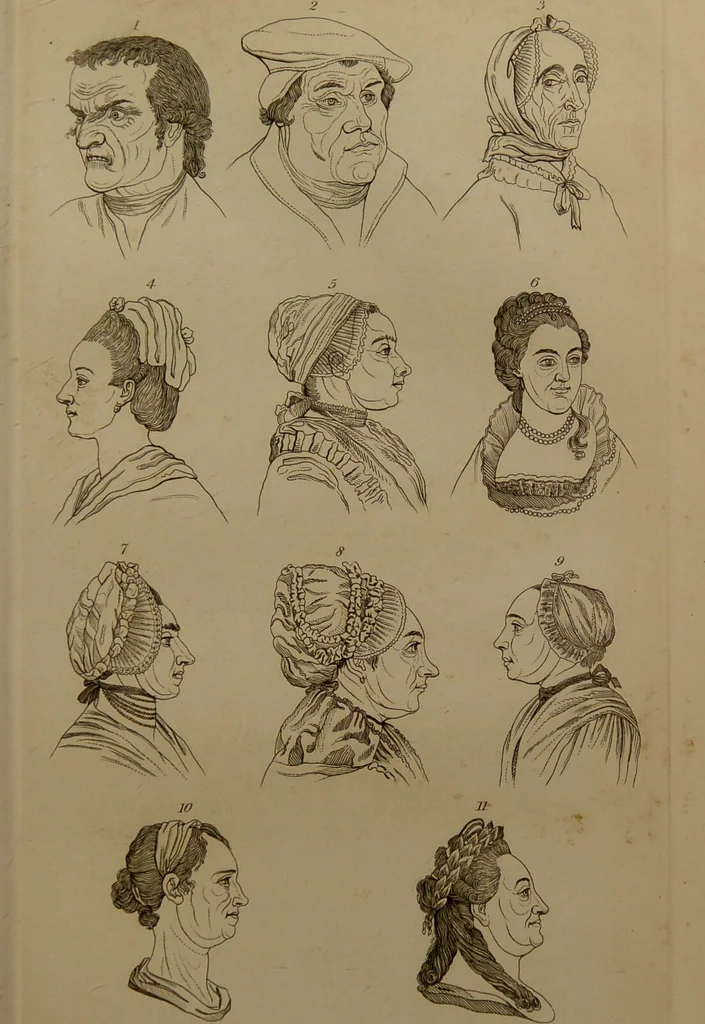 An illustration from Essays on physiognomy : designed to promote the knowledge and the love of mankind ... To which are added , one hundred physiognomonical rules, ... and memoirs of the life of the author / written by John Caspar Lavater., 1797, leaf 745