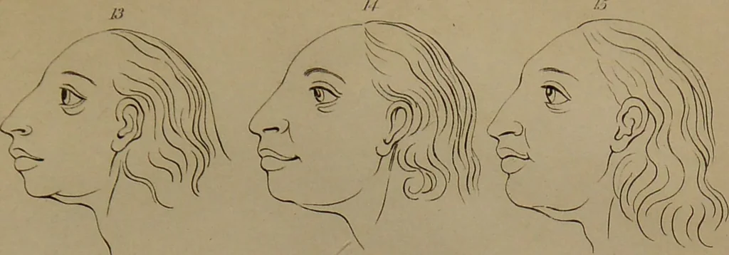 An illustration from Essays on physiognomy : designed to promote the knowledge and the love of mankind ... To which are added , one hundred physiognomonical rules, ... and memoirs of the life of the author / written by John Caspar Lavater., 1797, leaf 787