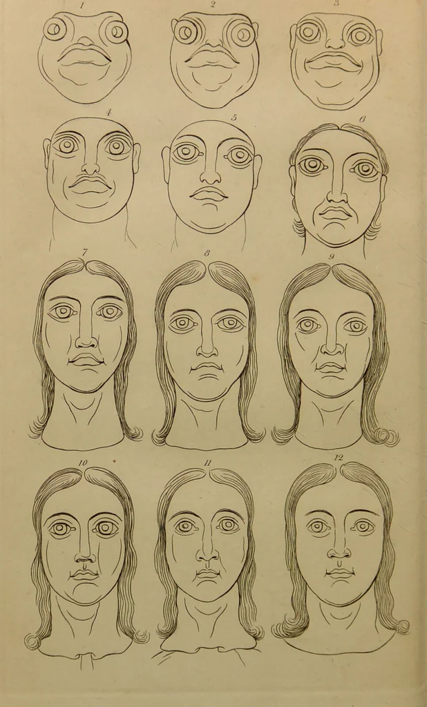 An illustration from Essays on physiognomy : designed to promote the knowledge and the love of mankind ... To which are added , one hundred physiognomonical rules, ... and memoirs of the life of the author / written by John Caspar Lavater., 1797, leaf 790