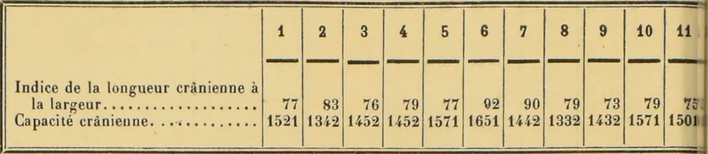 An illustration from Etude sur les cranes Boughis et Dayaks du Muséums d'histoire du naturelle / par le Dr. Montano., 1878, leaf 18