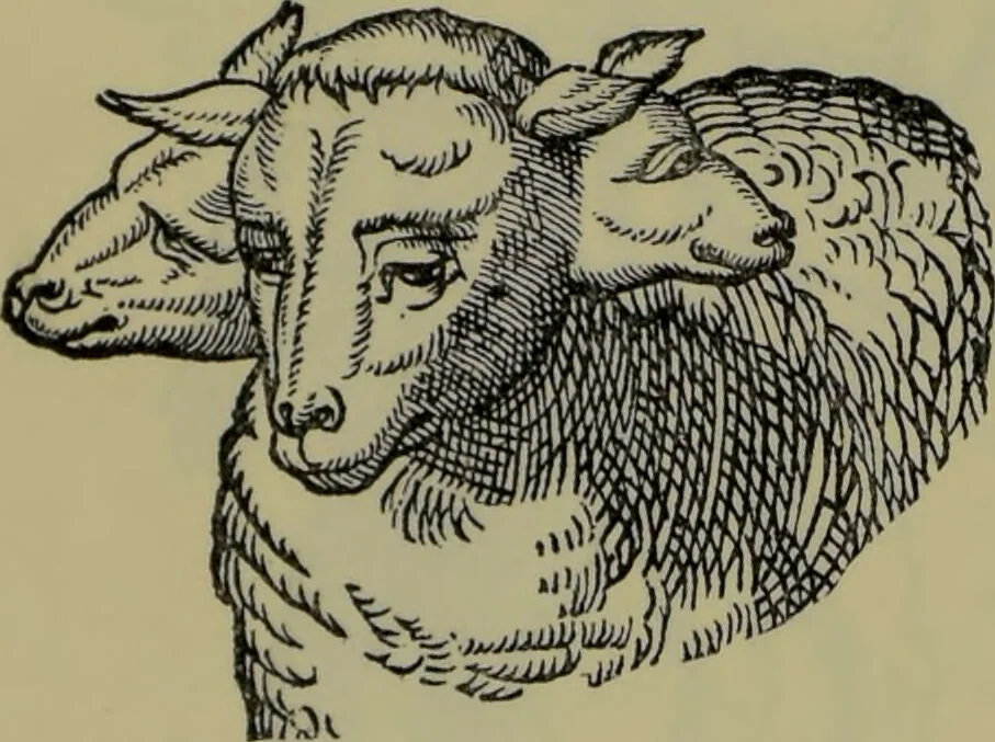 An illustration from Anomalies and curiosities of medicine : being an encyclopedic collection of rare and extraordinary cases, and of the most striking instances of abnormality in all branches of medicine and surgery, derived from an exhaustive research of medical literature from its origin to the present day / abstracted, classified, annotated, and indexed, by George M. Gould and Walter L. Pyle ; with 295 illustrations in the text, and 12 half-tone and colored plates., 1897, leaf 172