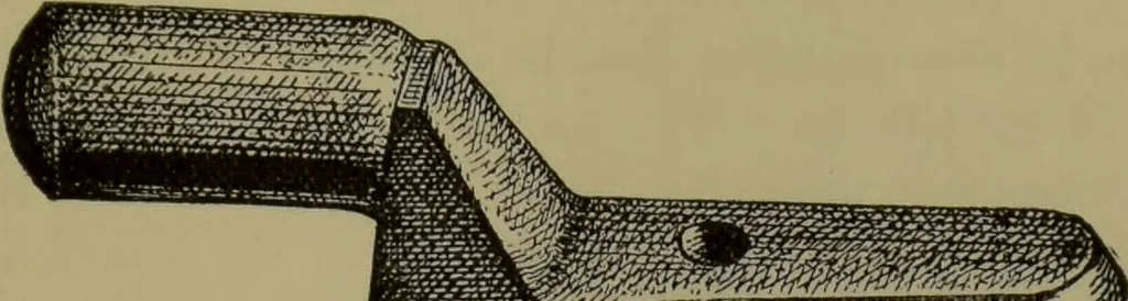 An illustration from Anomalies and curiosities of medicine : being an encyclopedic collection of rare and extraordinary cases, and of the most striking instances of abnormality in all branches of medicine and surgery, derived from an exhaustive research of medical literature from its origin to the present day / abstracted, classified, annotated, and indexed, by George M. Gould and Walter L. Pyle ; with 295 illustrations in the text, and 12 half-tone and colored plates., 1897, leaf 543