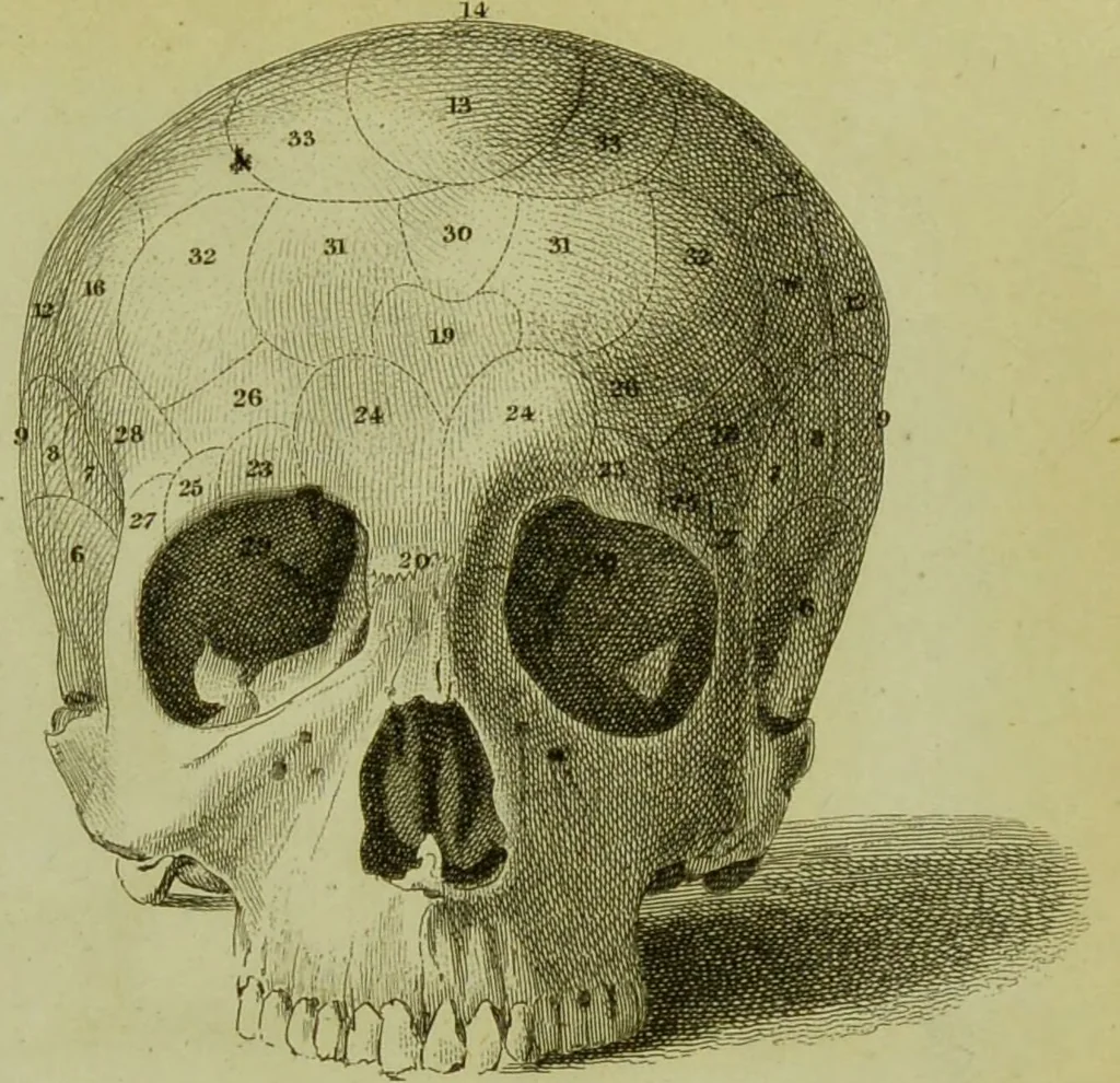 An illustration from Illustrations of phrenology : with engravings / by Sir G. S. Mackenzie., 1820, leaf 301