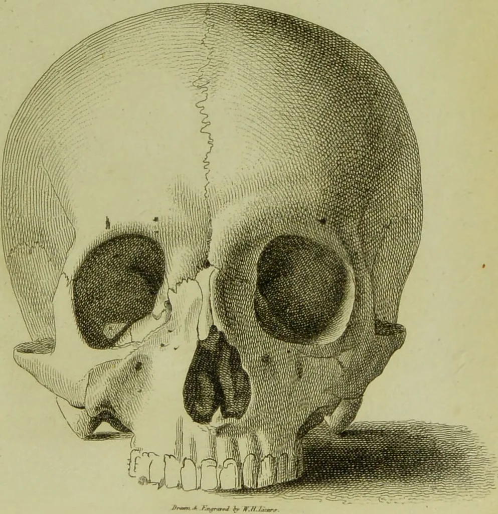 An illustration from Illustrations of phrenology : with engravings / by Sir G. S. Mackenzie., 1820, leaf 301