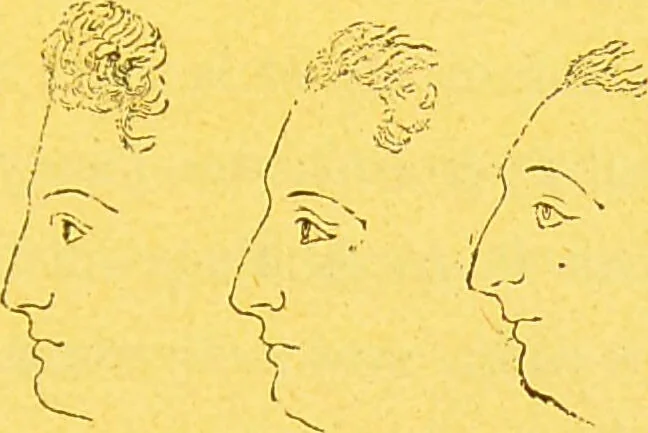 An illustration from La physionomie chez l'homme et chez les animaux, dans ses rapports avec l'expression des émotions et des sentiments / S. Schack., 1887, leaf 149
