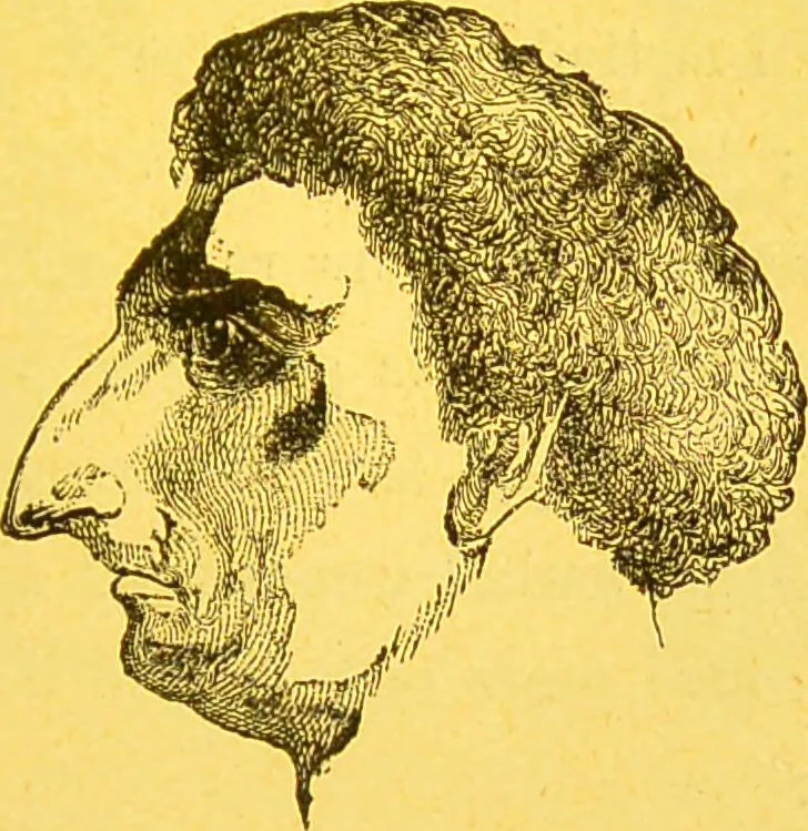 An illustration from La physionomie chez l'homme et chez les animaux, dans ses rapports avec l'expression des émotions et des sentiments / S. Schack., 1887, leaf 277