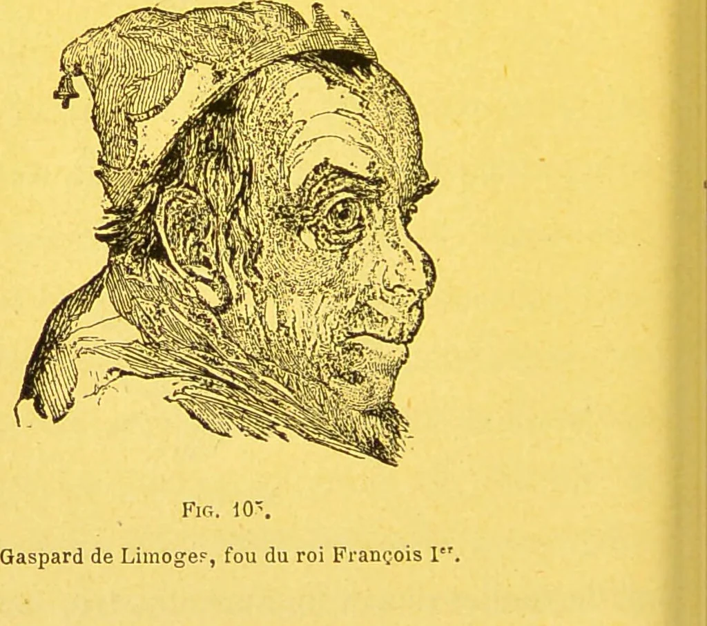 An illustration from La physionomie chez l'homme et chez les animaux, dans ses rapports avec l'expression des émotions et des sentiments / S. Schack., 1887, leaf 284