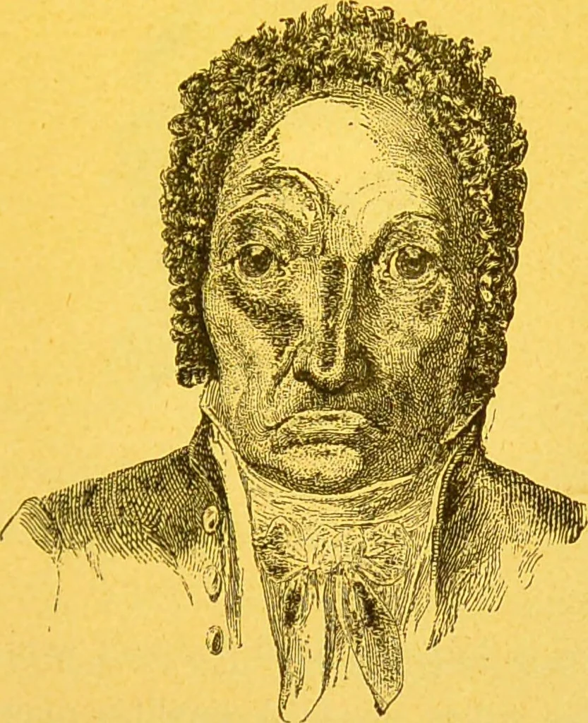 An illustration from La physionomie chez l'homme et chez les animaux, dans ses rapports avec l'expression des émotions et des sentiments / S. Schack., 1887, leaf 335
