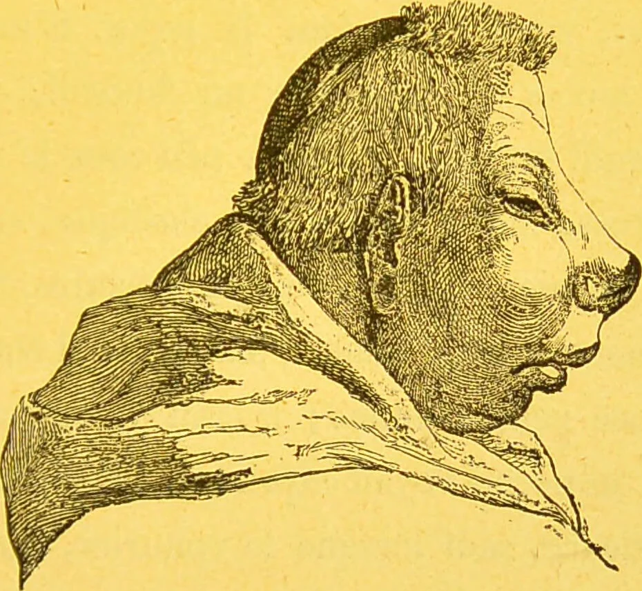 An illustration from La physionomie chez l'homme et chez les animaux, dans ses rapports avec l'expression des émotions et des sentiments / S. Schack., 1887, leaf 339