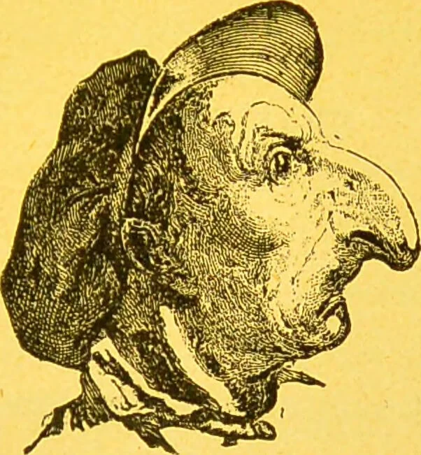 An illustration from La physionomie chez l'homme et chez les animaux, dans ses rapports avec l'expression des émotions et des sentiments / S. Schack., 1887, leaf 345