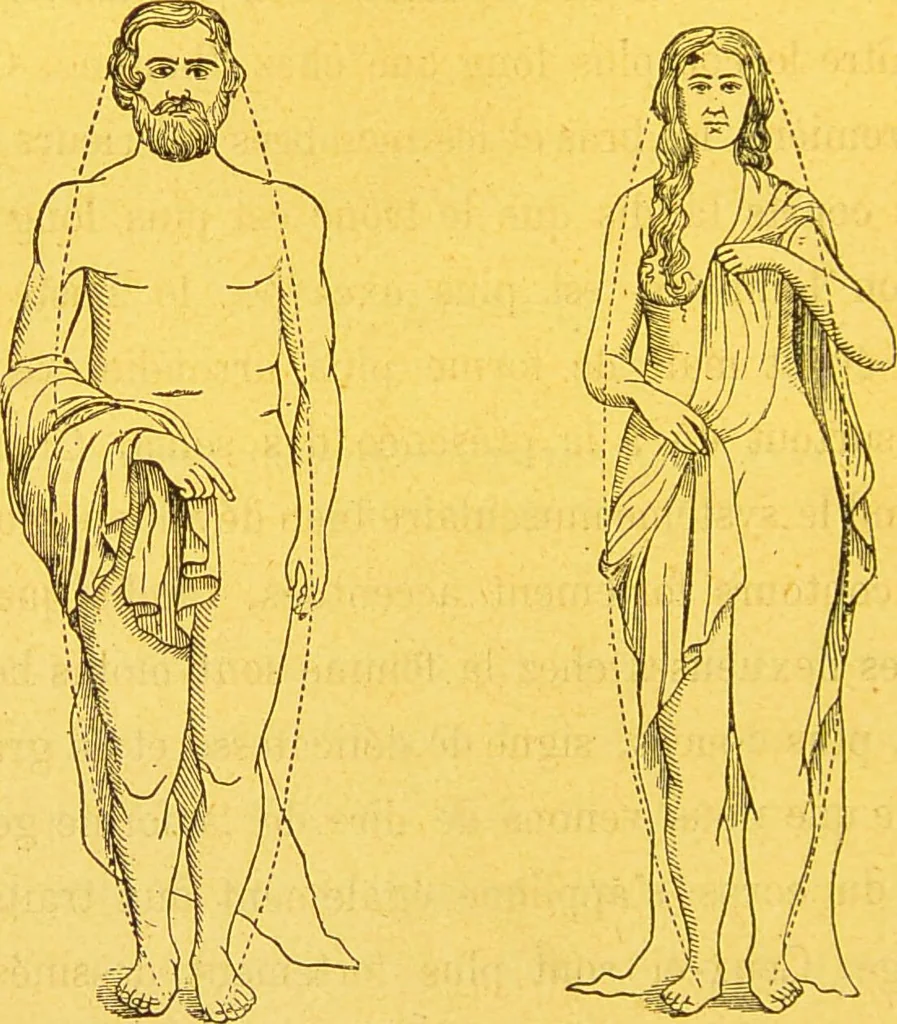 An illustration from La physionomie chez l'homme et chez les animaux, dans ses rapports avec l'expression des émotions et des sentiments / S. Schack., 1887, leaf 38