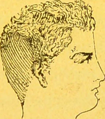 An illustration from La physionomie chez l'homme et chez les animaux, dans ses rapports avec l'expression des émotions et des sentiments / S. Schack., 1887, leaf 53