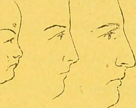 An illustration from La physionomie chez l'homme et chez les animaux, dans ses rapports avec l'expression des émotions et des sentiments / S. Schack., 1887, leaf 67