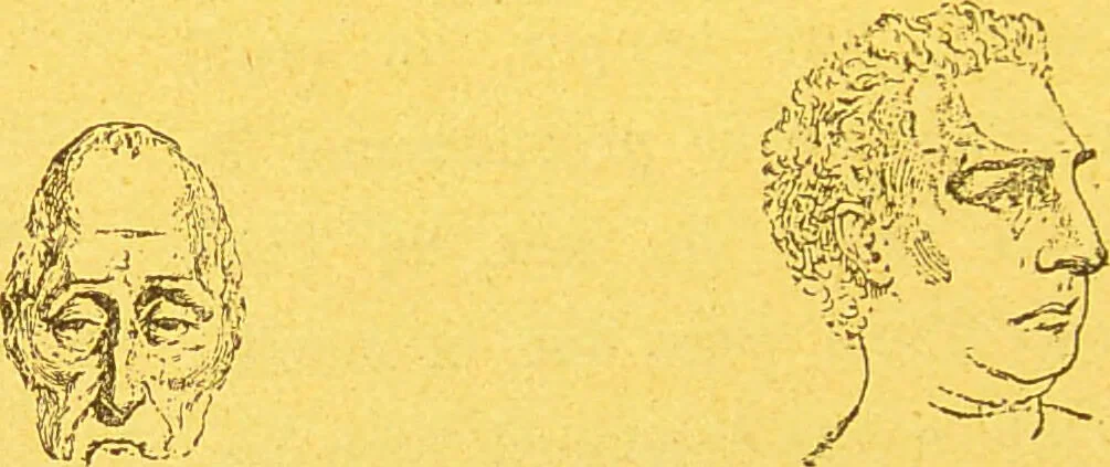 An illustration from La physionomie chez l'homme et chez les animaux, dans ses rapports avec l'expression des émotions et des sentiments / S. Schack., 1887, leaf 80