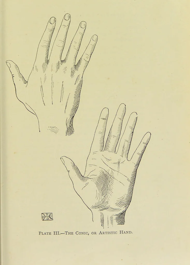 An illustration from A manual of cheirosophy : being a complete practical handbook of the twin sciences of cheirognomy and cheiromancy, by means whereof the past, the present, and the future may be read in the formations of the hands ; preceded by an introductory argument upon the science of cheirosophy and its claims to rank as a physical science / by Ed. Heron-Allen ; with full-page and other illustrations by Rosamund Brunel Horsley., 1885, leaf 157