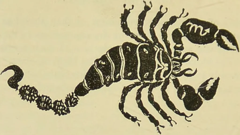 An illustration from A manual of cheirosophy : being a complete practical handbook of the twin sciences of cheirognomy and cheiromancy, by means whereof the past, the present, and the future may be read in the formations of the hands ; preceded by an introductory argument upon the science of cheirosophy and its claims to rank as a physical science / by Ed. Heron-Allen ; with full-page and other illustrations by Rosamund Brunel Horsley., 1885, leaf 194