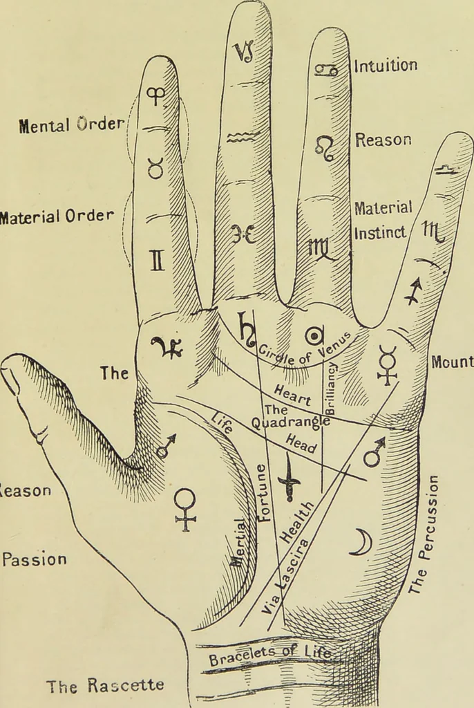 An illustration from A manual of cheirosophy : being a complete practical handbook of the twin sciences of cheirognomy and cheiromancy, by means whereof the past, the present, and the future may be read in the formations of the hands ; preceded by an introductory argument upon the science of cheirosophy and its claims to rank as a physical science / by Ed. Heron-Allen ; with full-page and other illustrations by Rosamund Brunel Horsley., 1885, leaf 195