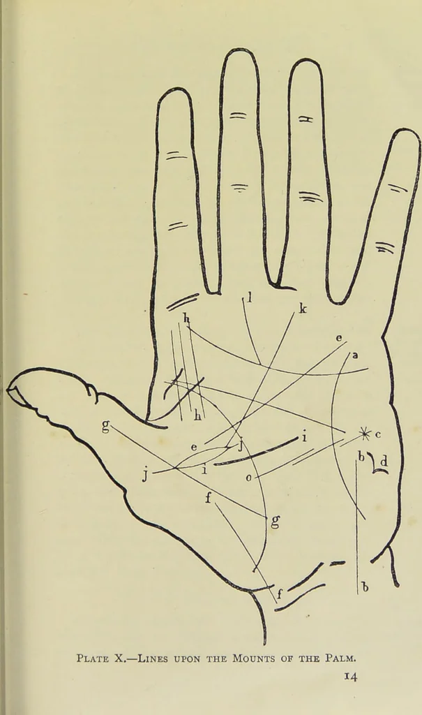 An illustration from A manual of cheirosophy : being a complete practical handbook of the twin sciences of cheirognomy and cheiromancy, by means whereof the past, the present, and the future may be read in the formations of the hands ; preceded by an introductory argument upon the science of cheirosophy and its claims to rank as a physical science / by Ed. Heron-Allen ; with full-page and other illustrations by Rosamund Brunel Horsley., 1885, leaf 217