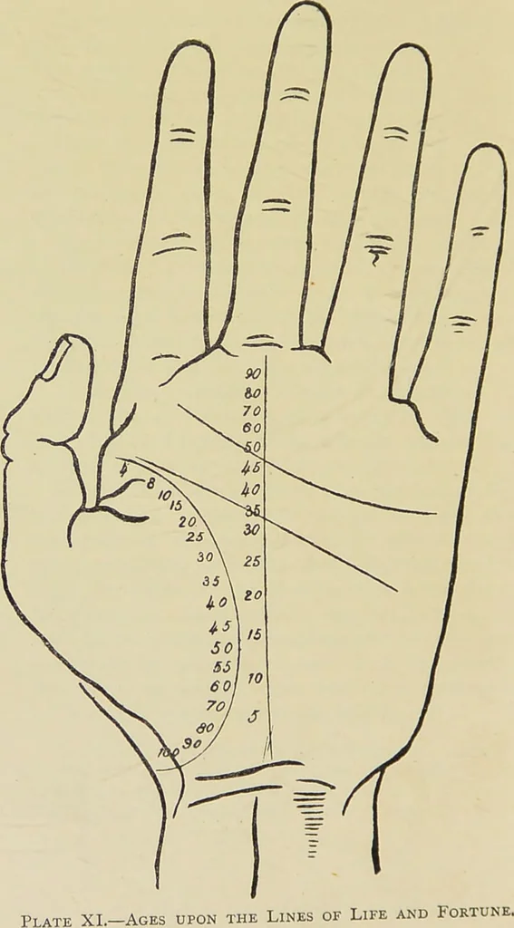 An illustration from A manual of cheirosophy : being a complete practical handbook of the twin sciences of cheirognomy and cheiromancy, by means whereof the past, the present, and the future may be read in the formations of the hands ; preceded by an introductory argument upon the science of cheirosophy and its claims to rank as a physical science / by Ed. Heron-Allen ; with full-page and other illustrations by Rosamund Brunel Horsley., 1885, leaf 236