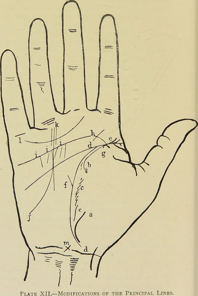 An illustration from A manual of cheirosophy : being a complete practical handbook of the twin sciences of cheirognomy and cheiromancy, by means whereof the past, the present, and the future may be read in the formations of the hands ; preceded by an introductory argument upon the science of cheirosophy and its claims to rank as a physical science / by Ed. Heron-Allen ; with full-page and other illustrations by Rosamund Brunel Horsley., 1885, leaf 240