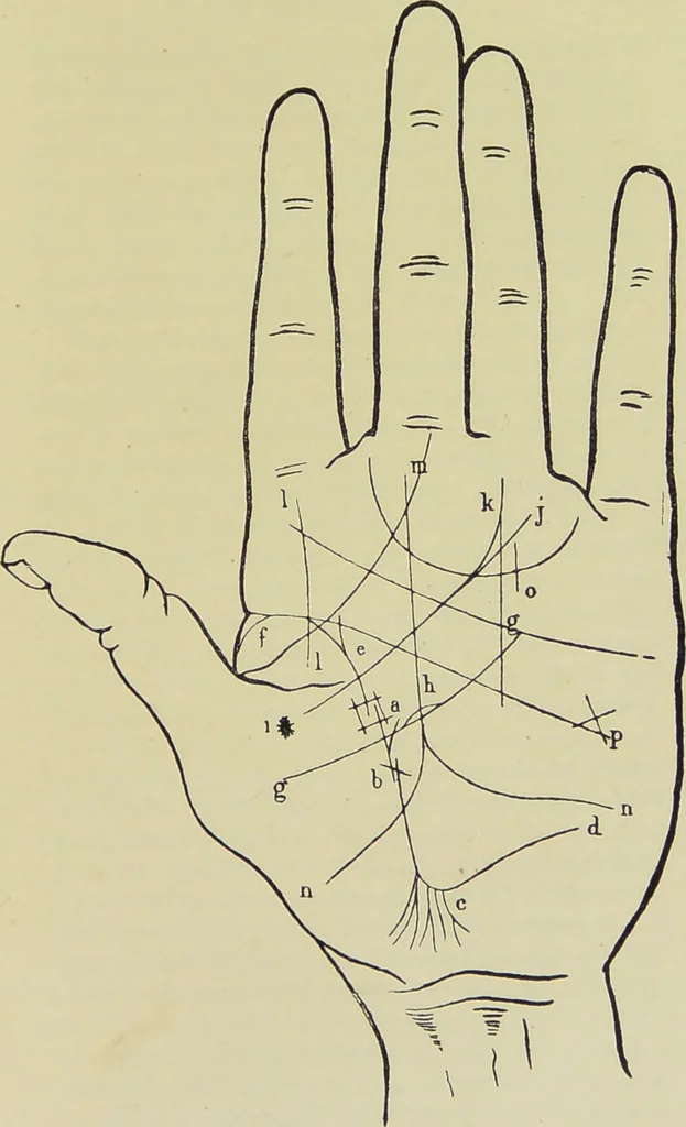 An illustration from A manual of cheirosophy : being a complete practical handbook of the twin sciences of cheirognomy and cheiromancy, by means whereof the past, the present, and the future may be read in the formations of the hands ; preceded by an introductory argument upon the science of cheirosophy and its claims to rank as a physical science / by Ed. Heron-Allen ; with full-page and other illustrations by Rosamund Brunel Horsley., 1885, leaf 243