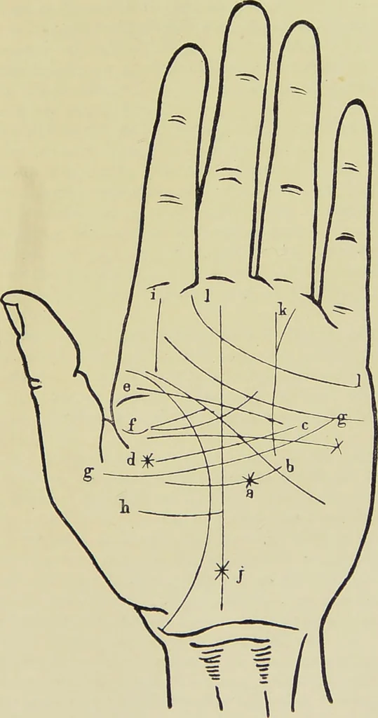 An illustration from A manual of cheirosophy : being a complete practical handbook of the twin sciences of cheirognomy and cheiromancy, by means whereof the past, the present, and the future may be read in the formations of the hands ; preceded by an introductory argument upon the science of cheirosophy and its claims to rank as a physical science / by Ed. Heron-Allen ; with full-page and other illustrations by Rosamund Brunel Horsley., 1885, leaf 247