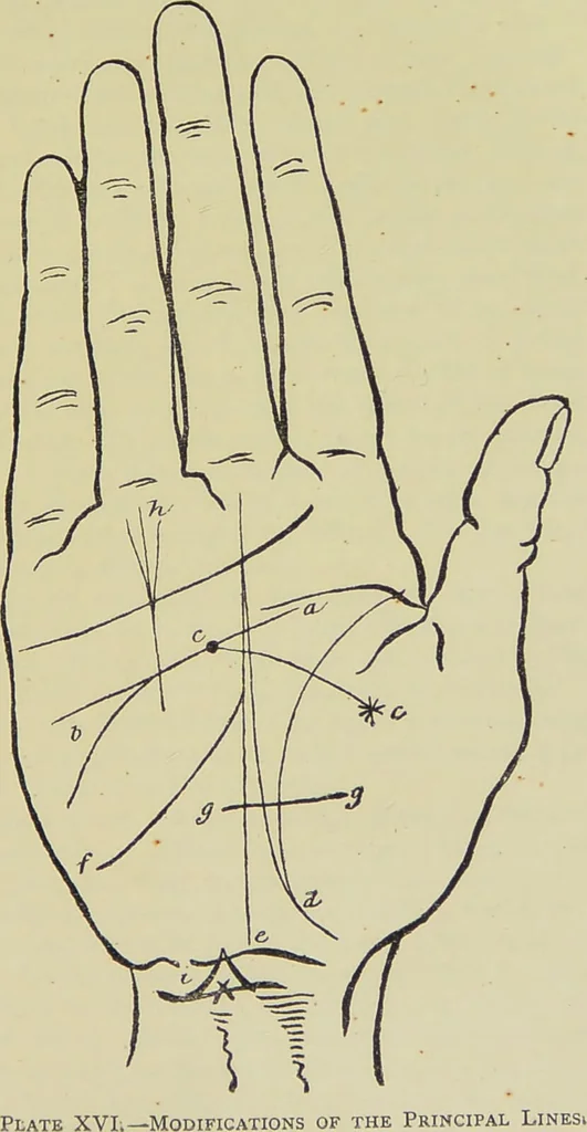 An illustration from A manual of cheirosophy : being a complete practical handbook of the twin sciences of cheirognomy and cheiromancy, by means whereof the past, the present, and the future may be read in the formations of the hands ; preceded by an introductory argument upon the science of cheirosophy and its claims to rank as a physical science / by Ed. Heron-Allen ; with full-page and other illustrations by Rosamund Brunel Horsley., 1885, leaf 261