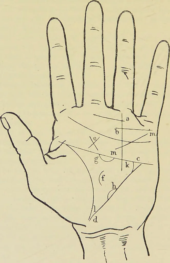 An illustration from A manual of cheirosophy : being a complete practical handbook of the twin sciences of cheirognomy and cheiromancy, by means whereof the past, the present, and the future may be read in the formations of the hands ; preceded by an introductory argument upon the science of cheirosophy and its claims to rank as a physical science / by Ed. Heron-Allen ; with full-page and other illustrations by Rosamund Brunel Horsley., 1885, leaf 272