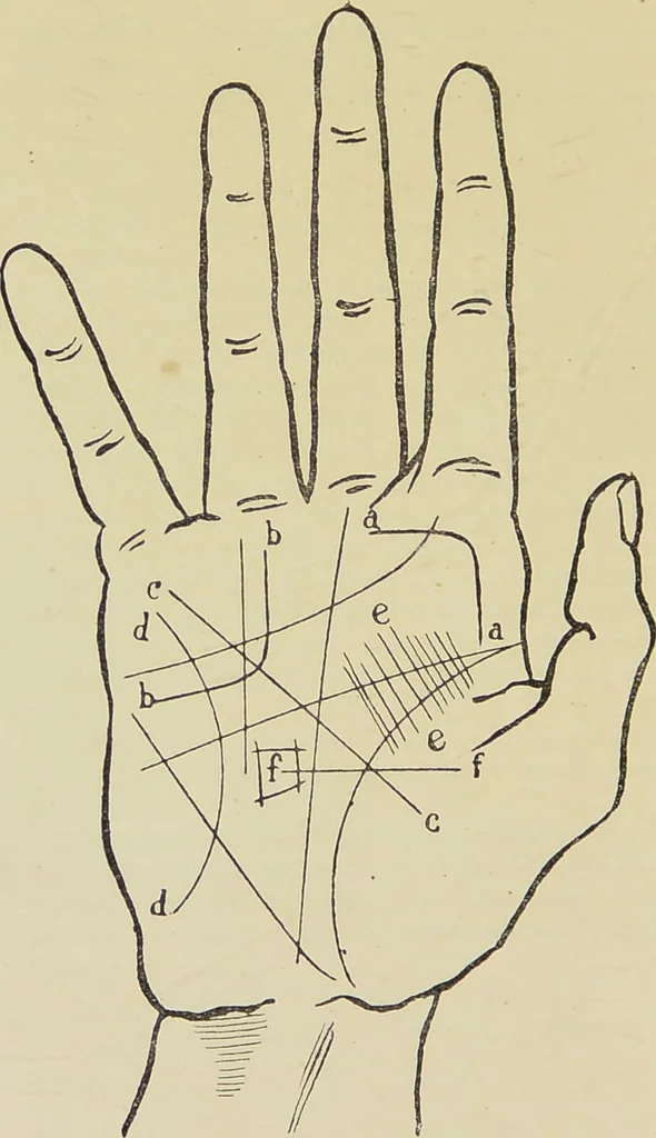 An illustration from A manual of cheirosophy : being a complete practical handbook of the twin sciences of cheirognomy and cheiromancy, by means whereof the past, the present, and the future may be read in the formations of the hands ; preceded by an introductory argument upon the science of cheirosophy and its claims to rank as a physical science / by Ed. Heron-Allen ; with full-page and other illustrations by Rosamund Brunel Horsley., 1885, leaf 300