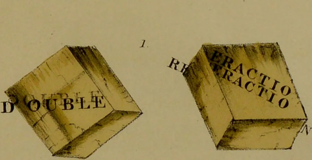 An illustration from Medical zoology, and mineralogy : or, illustrations and descriptions of the animals and minerals employed in medicine, and of the preparations derived from them: including also an account of animal and mineral poisons: with figures coloured from nature / by John Stephenson., 1838, leaf 415