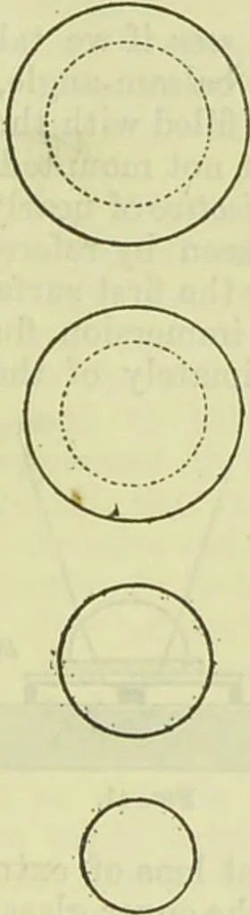 An illustration from The microscope : its history, construction, and application, being a familiar introduction to the use of the instrument, and the study of microscopical science / by Jabez Hogg ; with upwards of five hundred engravings, and coloured illustrations by Tuffen West., 1890, leaf 101
