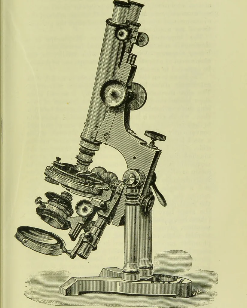 An illustration from The microscope : its history, construction, and application, being a familiar introduction to the use of the instrument, and the study of microscopical science / by Jabez Hogg ; with upwards of five hundred engravings, and coloured illustrations by Tuffen West., 1890, leaf 115