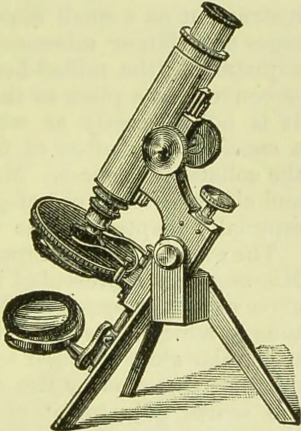 An illustration from The microscope : its history, construction, and application, being a familiar introduction to the use of the instrument, and the study of microscopical science / by Jabez Hogg ; with upwards of five hundred engravings, and coloured illustrations by Tuffen West., 1890, leaf 117
